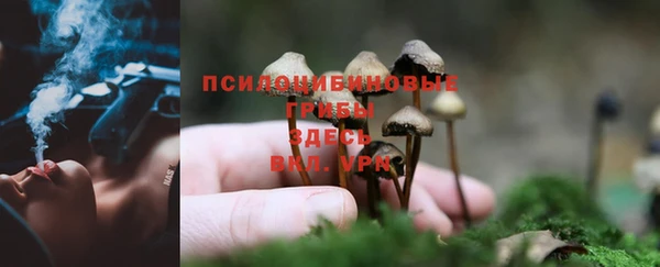 кристаллы Арсеньев