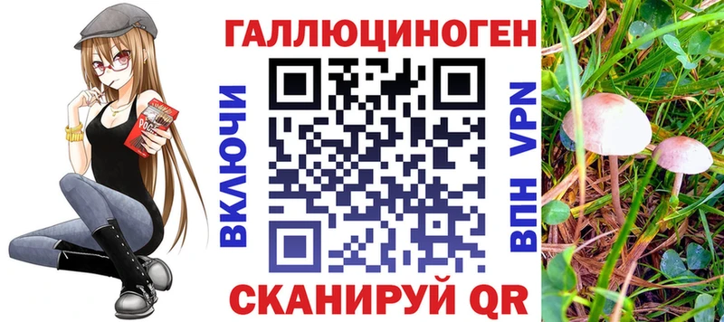 Псилоцибиновые грибы ЛСД Ртищево